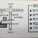 새산호복어 이미지