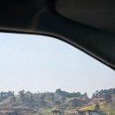지리산(광주) | 구례 지리산치즈랜드 , 광주 근교 봄 나들이 데이트 수선화