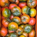 건양유통 이미지