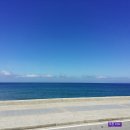 카사블랑카 이미지