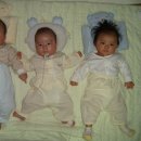 쌍둥이