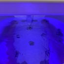 제일병원 | 진주 다이어트 잘하는 곳｜진주비만관리 예신 E-Tub 전기스파 솔직후기