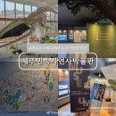 민속자연사박물관 | 제주 박물관 추천 제주민속자연사박물관 입장료 관람후기