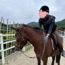 부산국제승마장 | 2024 힐링승마 :: 초급1 후기🐴(하편:8일차~10일차) | 부산 기장 동부산 승마장 / 마사회 지원 전국민...