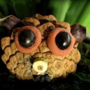 솔방울유치원 이미지