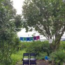 지호민박 이미지