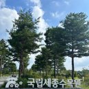 뉴턴의정원 | 세종 가볼만한 곳 [국립세종수목원] 후기 가격 주차 야간개장 정보 무궁화로드 뉴턴사과나무