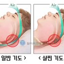 진가세소리 이미지