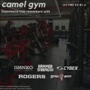 24시 카멜짐 동천 헬스 pt 이미지