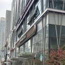 스타벅스 크리스마스 한정메뉴 음료 케이크 MD 후기(말차 크림 브륄레 라떼 칼로리/프리퀀시 이벤트 굿즈)