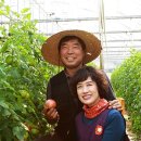 산해농장 네이버블로그