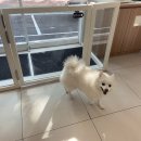 송파 마리동물병원 이미지