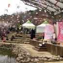 대구 ,팔공산 , 벚꽃 축제장 에서[2015/0412] 이미지