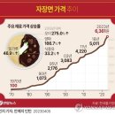 왕래성 이미지
