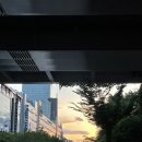 2021년 9월 #2