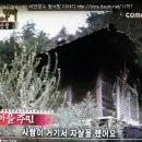 달이야기민박 Daum카페