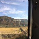 득량삼거리마트 | 보성 디노 글램핑장