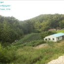 지수면-2 이미지