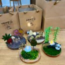 외간초등학교 | 2025년 11월 1-9일 거제 섬꽃 축제 2025 참여 후기