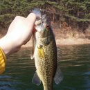 고남저수지 이미지