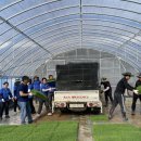 홍동농업협동조합 이미지