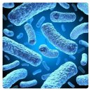 홍금동물병원 | 유아다형홍 갑자기 아이 피부에 반점이 생겼다면?