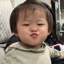 한스스시 이미지