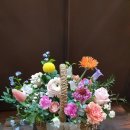 김제꽃사랑화원