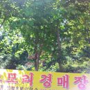 송림이용원 이미지