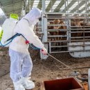 박영주농장 이미지