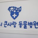 24시큰사랑동물병원 이미지