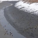 소래주유소 이미지