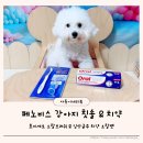 (주)바로벳 | 페노비스 바르는 강아지치약 오랄벳 &amp; 초미세모 오랄브러쉬