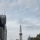 수동1천 | 2025.01.15 D+334 돼지들의 노잼도시 나고야(4편)-나고야성, 미소우동, 도요타 기념관, 히츠마부시 후기