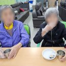 푸른꼬마김밥 이미지