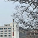 촉석탕 이미지