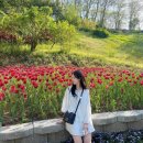 억만농장 | [천안] 아산 피나클랜드 후기/ 튤립축제/ 아산 맛집/ 피나클랜드 맛집