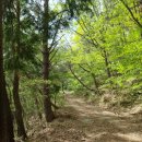 칠절리마을회관 | [명산기행#675] 호남정맥 북산 무동재 최단코스 산행_250427