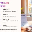미래펫동물병원 | 🐱 고양이 중성화 수술비, 펫보험으로 보장될까? 실비 vs 정액형 총정리!