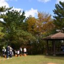 유아동네숲터 이미지