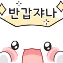 차와 함께 일상으로의 여행 이미지