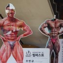 비스트 | 송도PT가격 궁금해서 직접 다녀온 팀비스트짐PT 후기