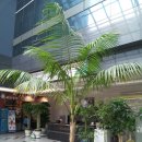 코오롱싸이언스밸리1차 이미지