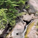 진틀펜션캠핑장 이미지