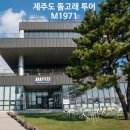 제주포인트투어 | 제주도 돌고래 투어 M1971 요트 타고 본 남방큰돌고래 제주 요트투어 실후기