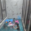 봄보름코지 이미지