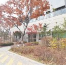 인공폭포 및 바닥분 이미지