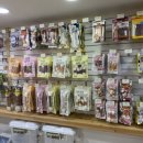 핫독애견 이미지