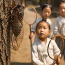 박성호「버드나무를 | 조선의 매미를 찾아서