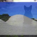 근육 건강 산양유 초유 단백질 분말 효능과 부작용 먹는 방법까지